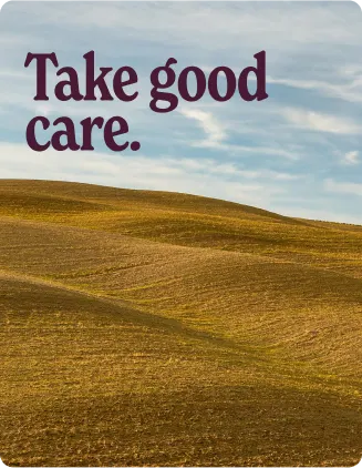 Rolling golden hills under a cloudy sky with the words “Take good care.” displayed over the landscape