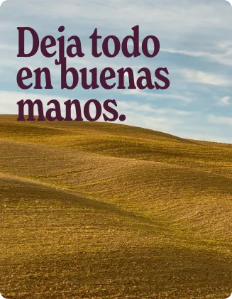 Rolling golden hills under a cloudy sky with the words “Take good care.” displayed over the landscape