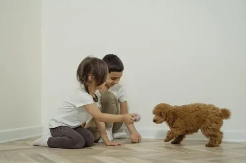 dividing-inheritance-between-siblings-mobile